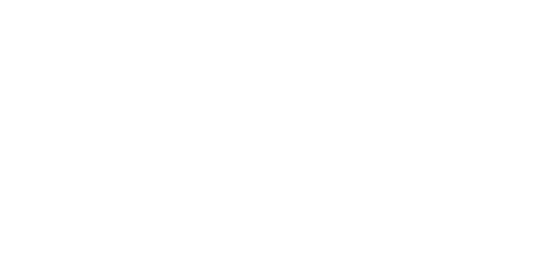 SUGARHAUS COOKIES