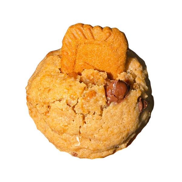 JETSET BISCOFF