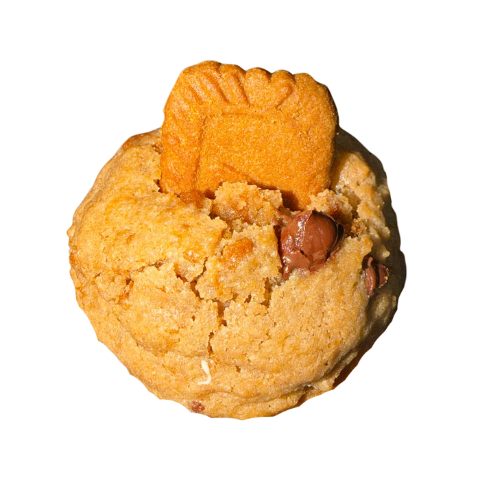JETSET BISCOFF