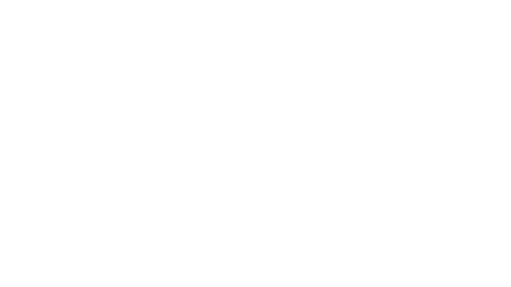 SUGARHAUS COOKIES