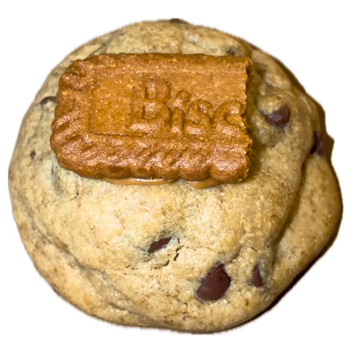 JETSET BISCOFF